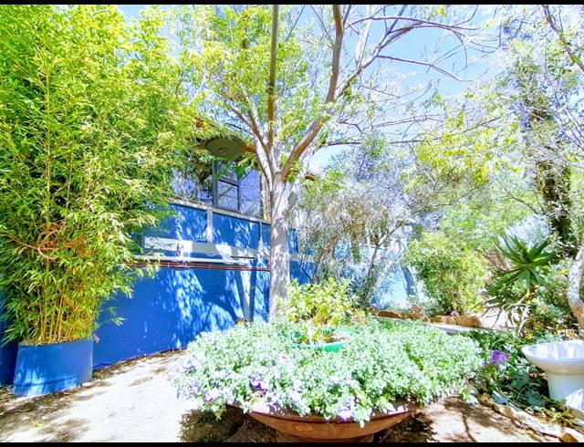 3 BEDROOM HOUSE FOR SALE IN BARRYDALE